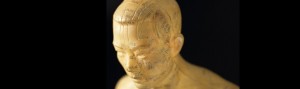 acupuncture-body-model-